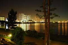 Midnight Daiba
