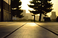The Way to...