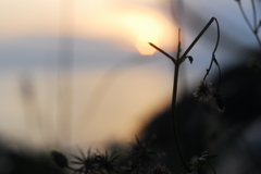 夕暮れ時