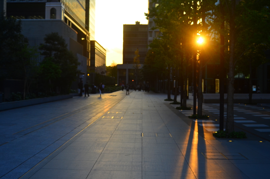 Tokyo Sunset