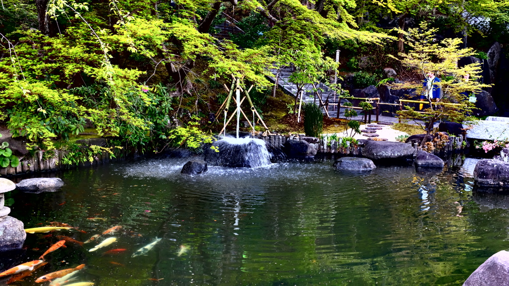 長谷寺④