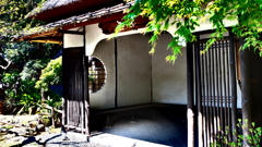 上野動物園にて