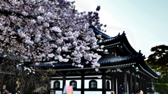 長谷寺③