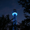 marin blue tower 