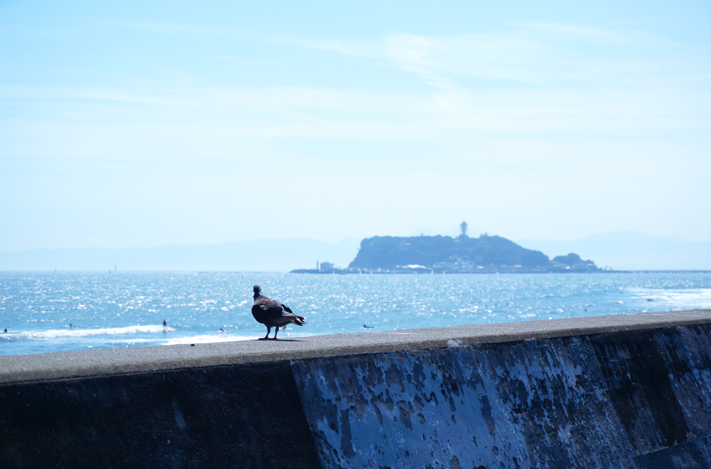江の島を見つめて