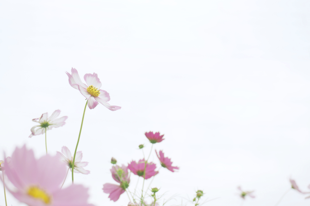 for you