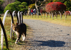 紅葉の季節