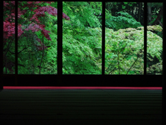 red & green