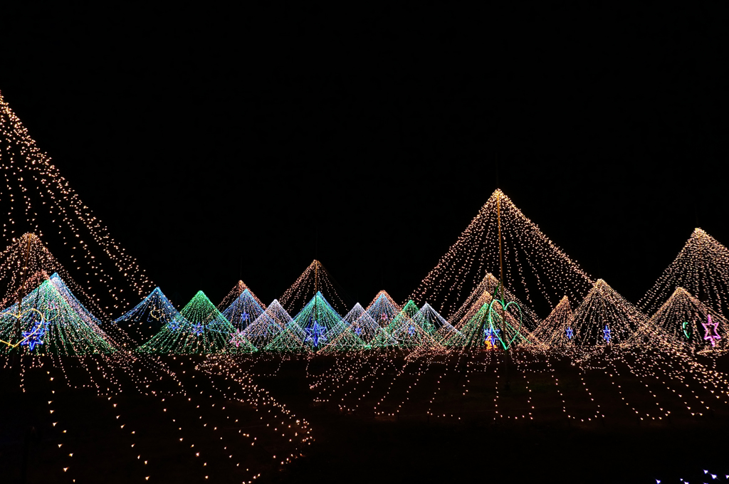 color tree