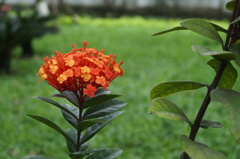 DSC01571