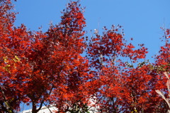 DSC00642