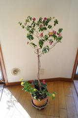 DSC00857