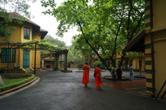 DSC01543
