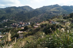 DSC02489