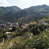 DSC02489
