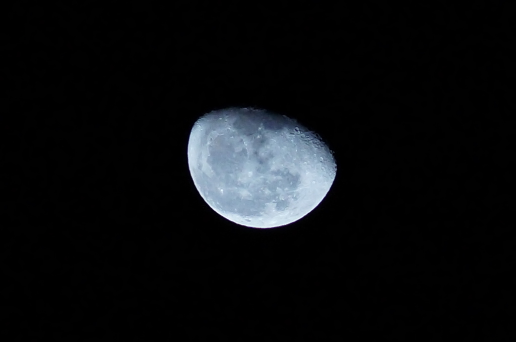 DSC00608