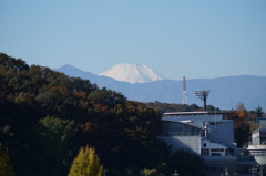 DSC00589