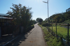 DSC00264