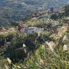 DSC02488