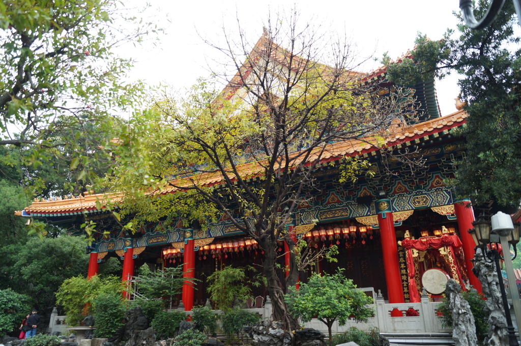DSC01321
