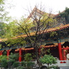 DSC01321