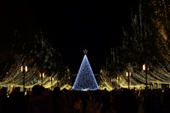 DSC00680