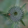 DSC01725