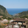 DSC02501