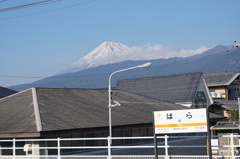 DSC00729