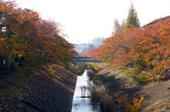 DSC00567