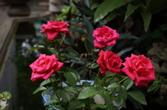 DSC01568
