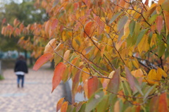 DSC00380