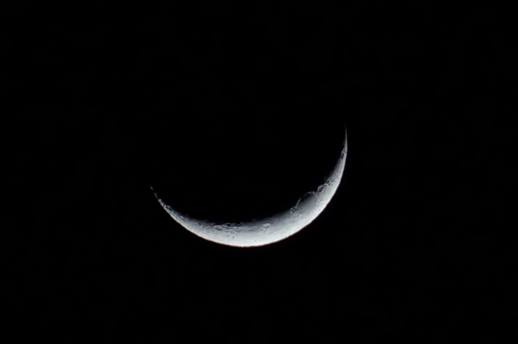 DSC00845