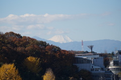 DSC00632