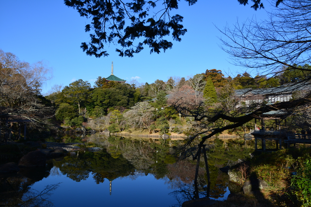 澄んだ池に映る景色