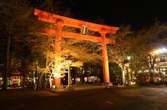 2014年初撮影