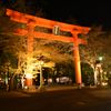 2014年初撮影