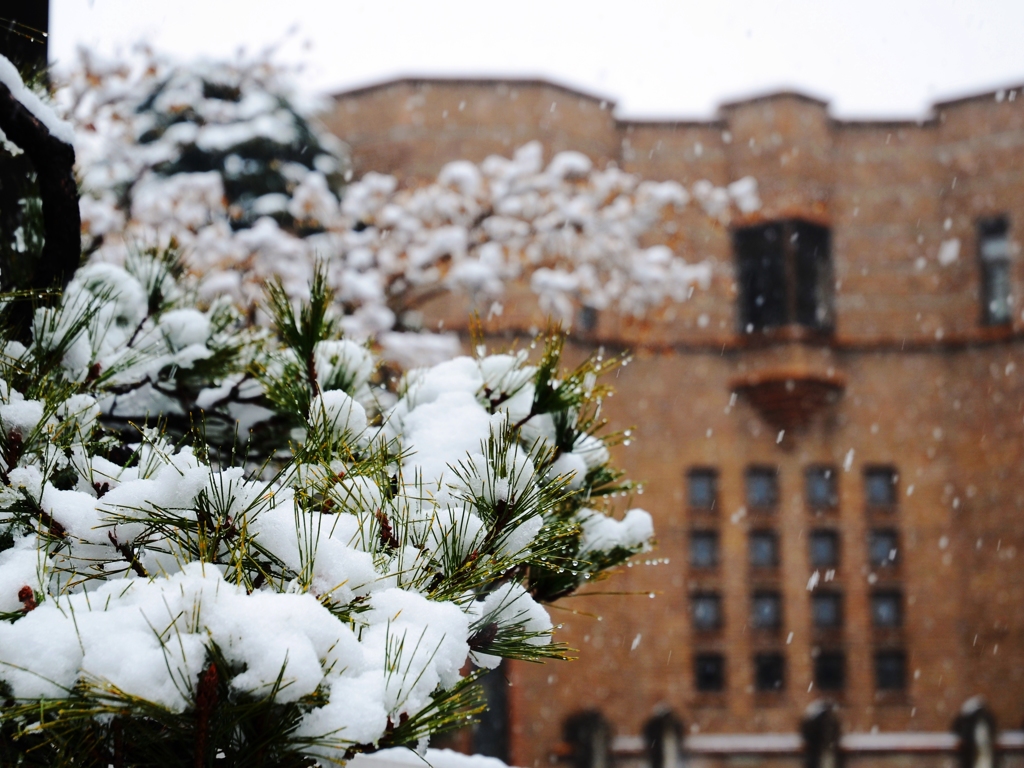 大雪の京大4