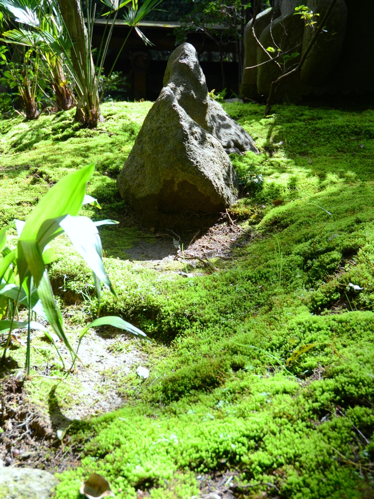 吉田山の庭園