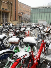 大雪の京大2