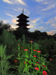 国分寺
