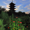 国分寺