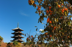 国分寺８