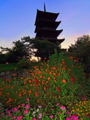 国分寺