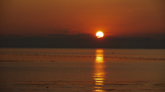 内海の夕日