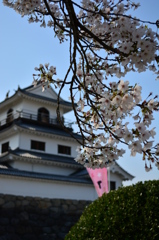 春の白石城
