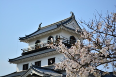 天守閣のお殿様とお姫様