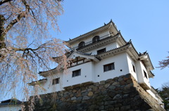 桜城