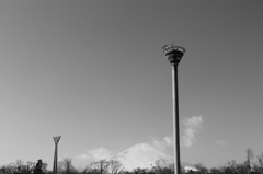 2013_1231_123647-IMG_1189シロクロフジ