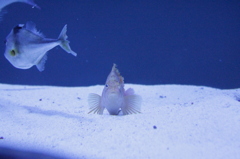 2014_0101_123832-IMG_1453見やる